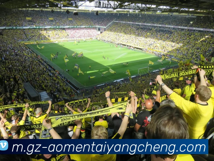 多媒体互动体验